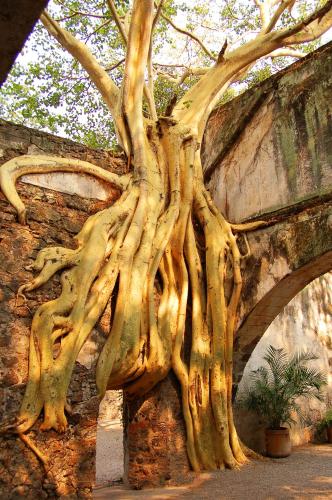 Hacienda de Cortés, Cuernavaca