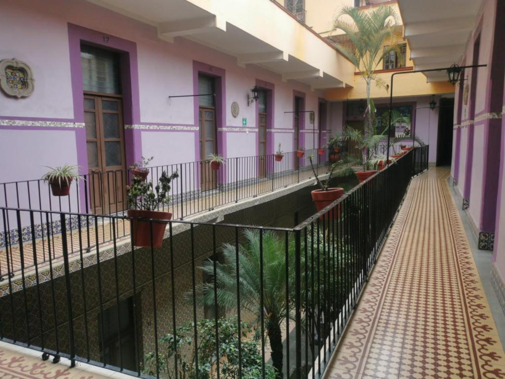 Limón, Xalapa