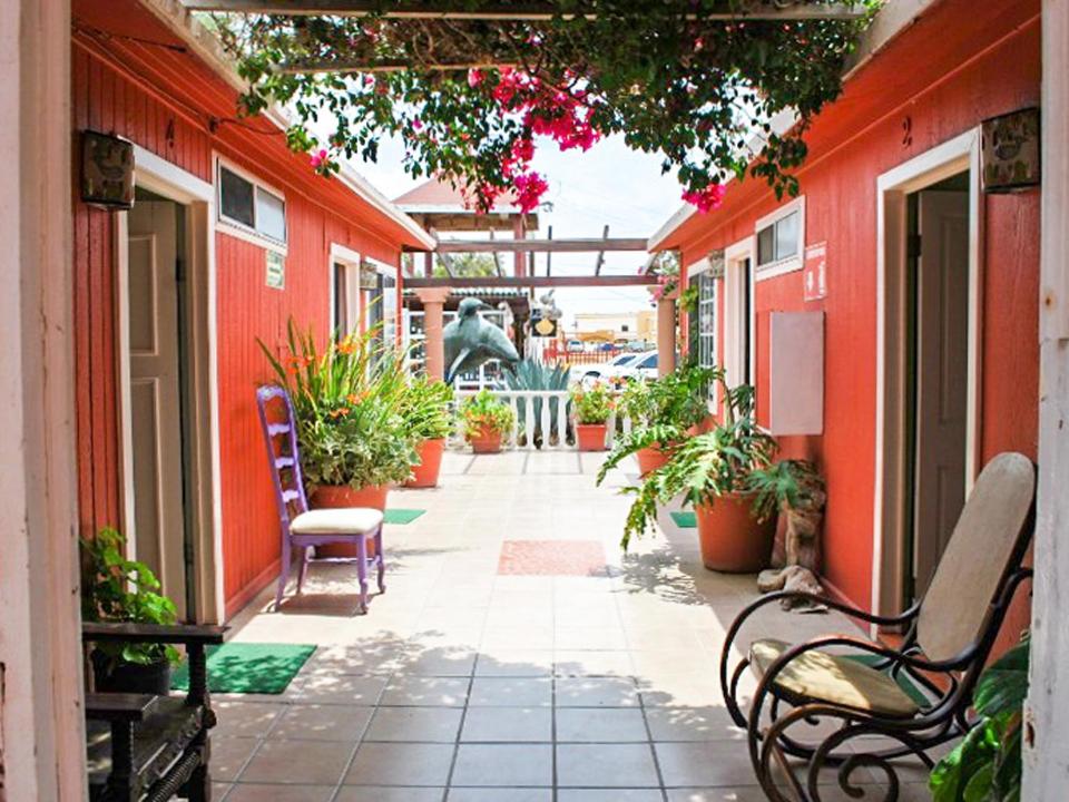 Malarrimo, Guerrero Negro