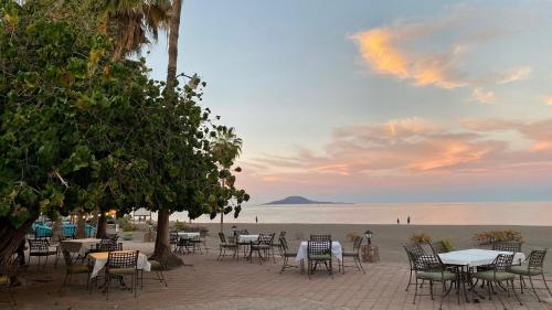 Oasis, Loreto