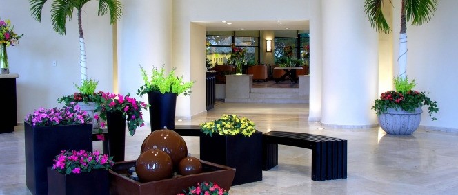 Terranova, Coatzacoalcos