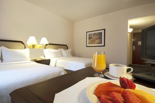 Fiesta Inn Tollocan, Toluca