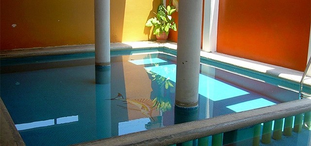 Albatros, Tecolutla