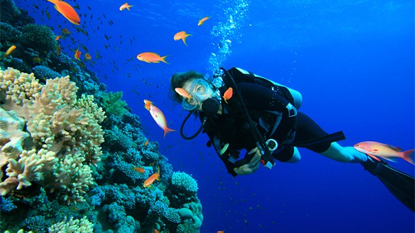 Scuba Diving